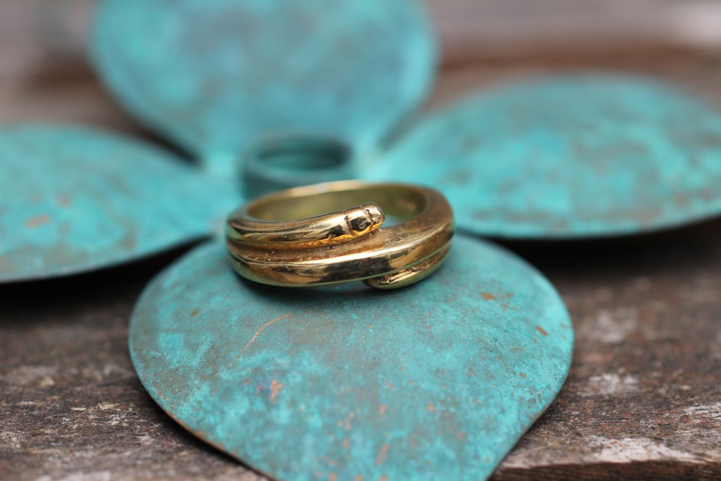 Ring 21