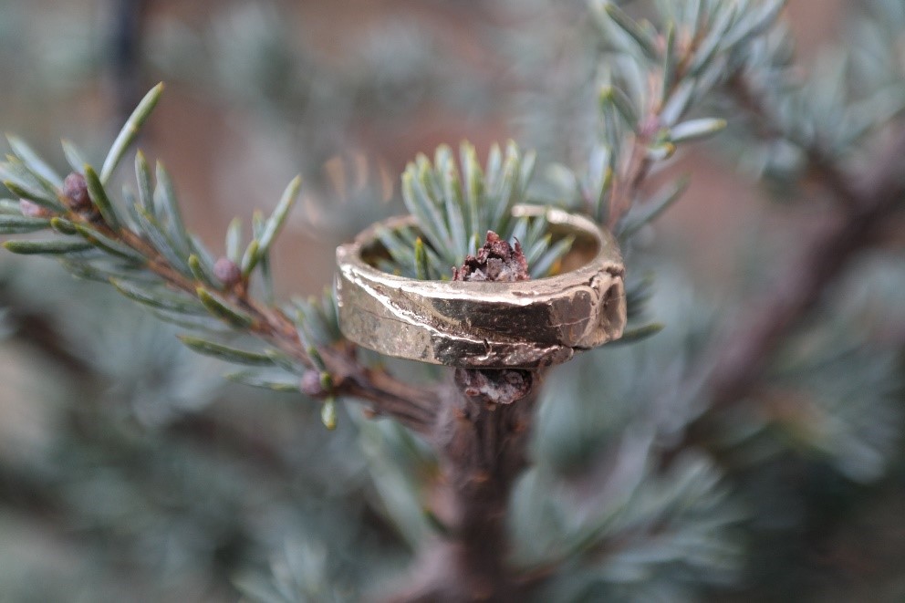 guld, sølv, ring, bark