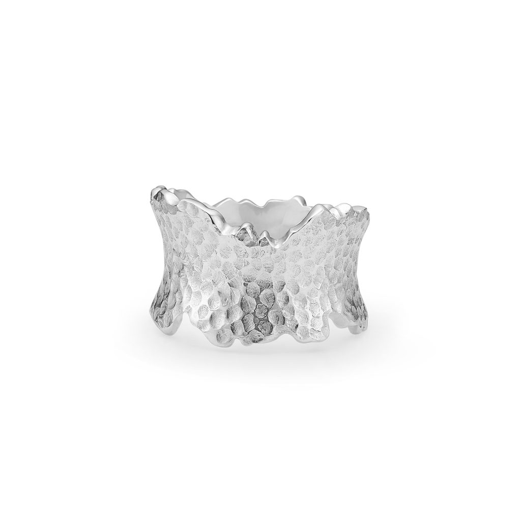"Livets op- og nedture" ring